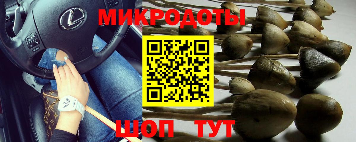 Галлюциногенные грибы Cubensis Сатка