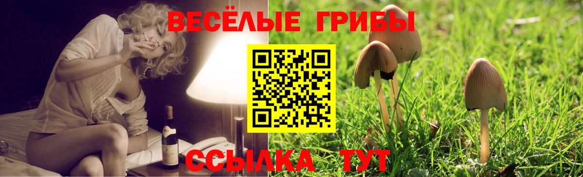 Сатка  Псилоцибиновые грибы мухоморы  Псилоцибиновые грибы Cubensis  Вход с VPN 